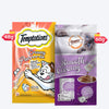 Temptations & Gnawlers Salmon Surprise Treat Combo For Cat - Heads Up For Tails