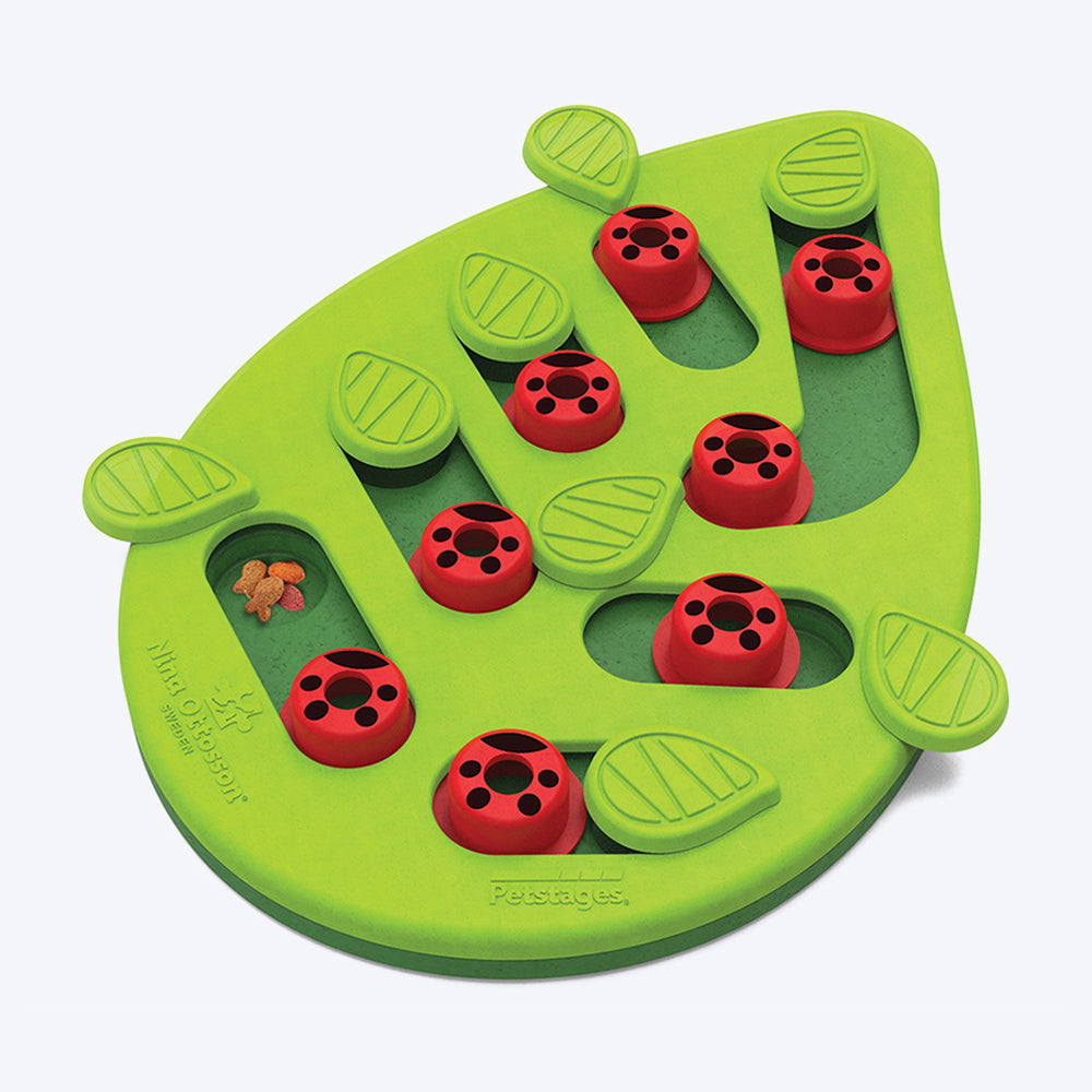 Outward Hound (Nina Ottosson) Buggin Out Puzzle Slide Interactive Cat Toy - Green - Level 2 - Heads Up For Tails