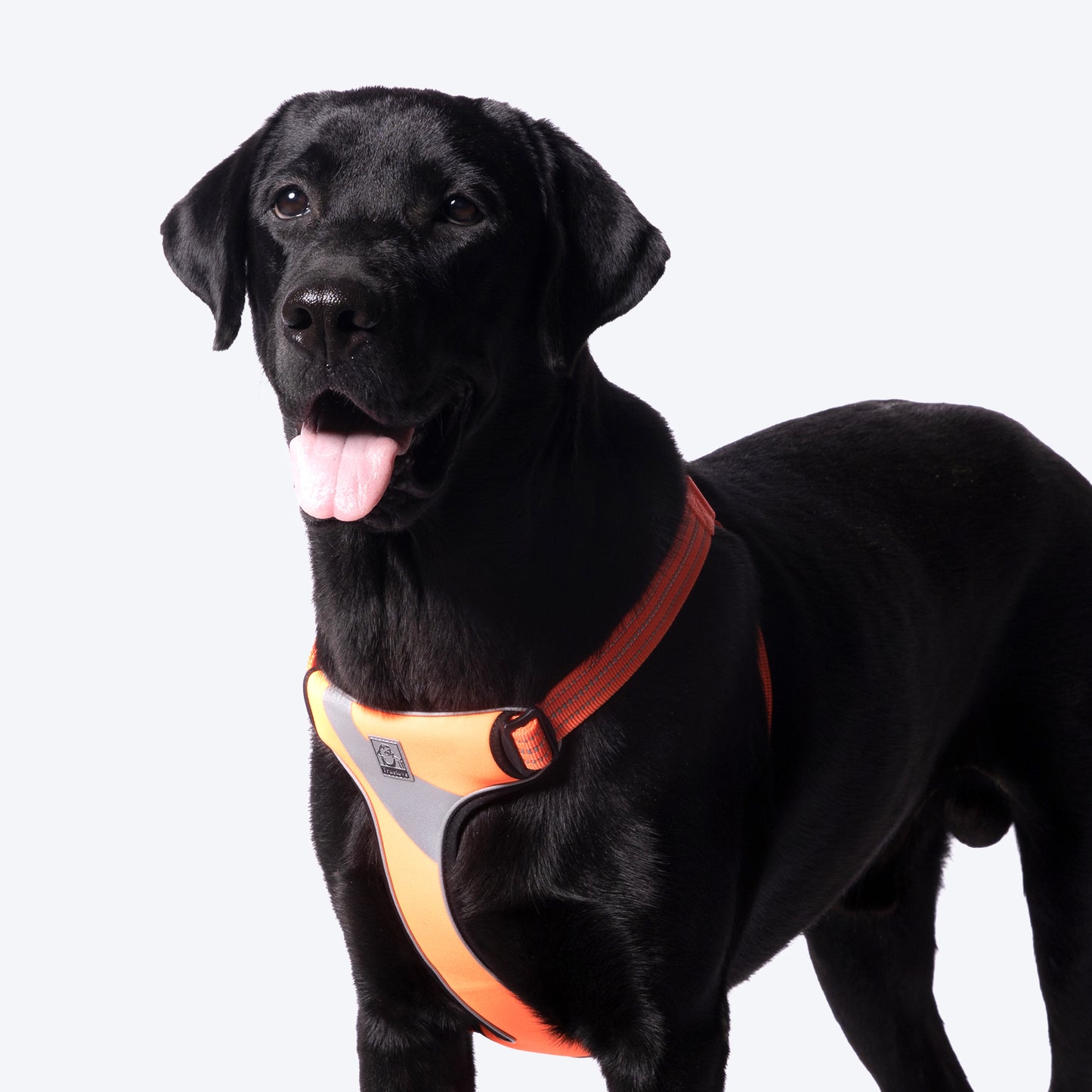 Truelove Step-In Harness For Dog With 3M Reflective Fabric - Orange - M