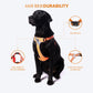 Truelove Step-In Harness For Dog With 3M Reflective Fabric - Orange - M