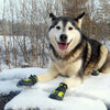 Truelove Anti-Slip Boots For Dog - Neon Yellow (Set of 4) - Heads Up For Tails