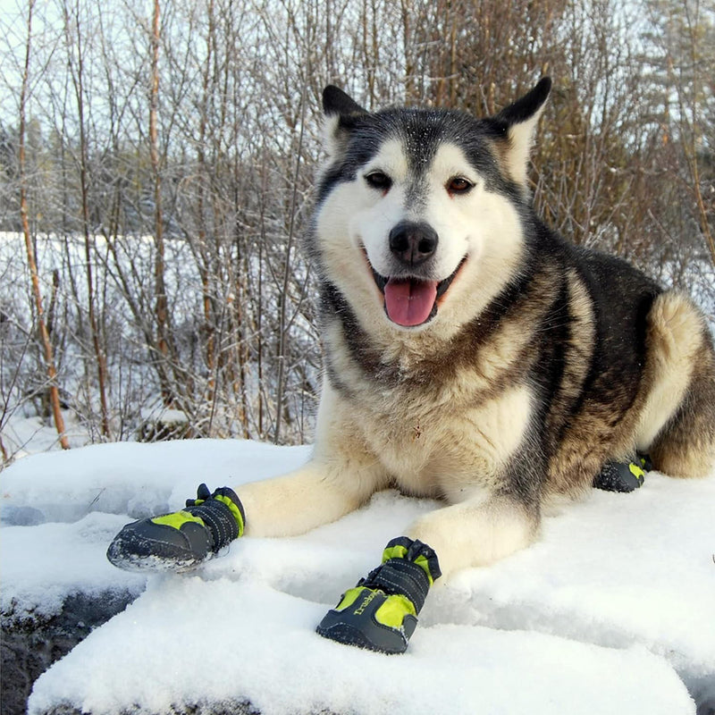 Truelove Anti-Slip Boots For Dog - Neon Yellow (Set of 4) - Heads Up For Tails