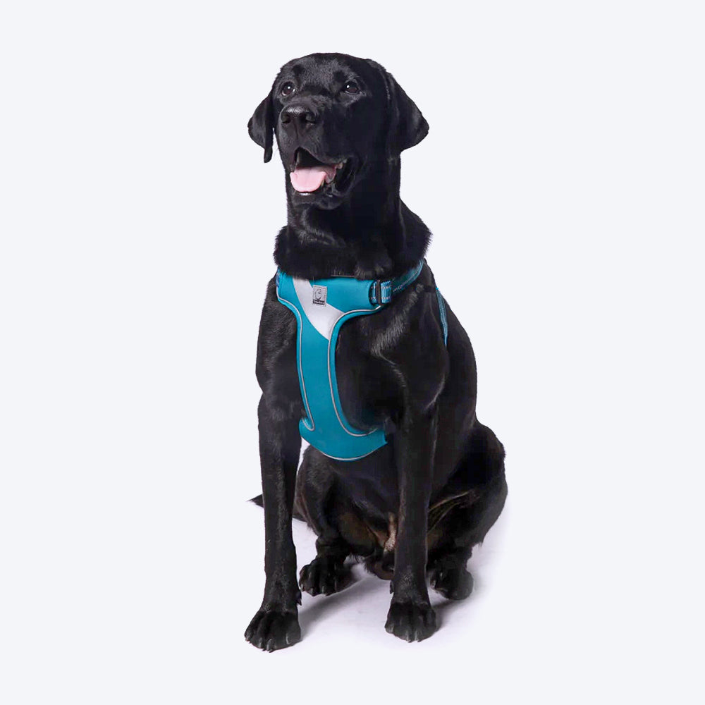 Truelove Step-In Harness For Dog With 3M Reflective Fabric - Blue - Heads Up For Tails