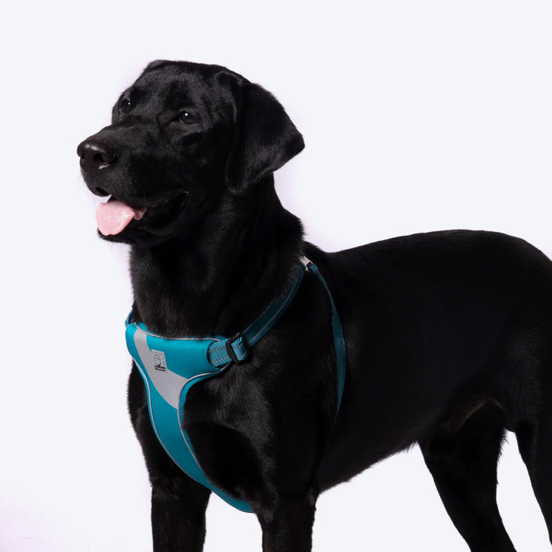 Truelove Step-In Harness For Dog With 3M Reflective Fabric - Blue - Heads Up For Tails