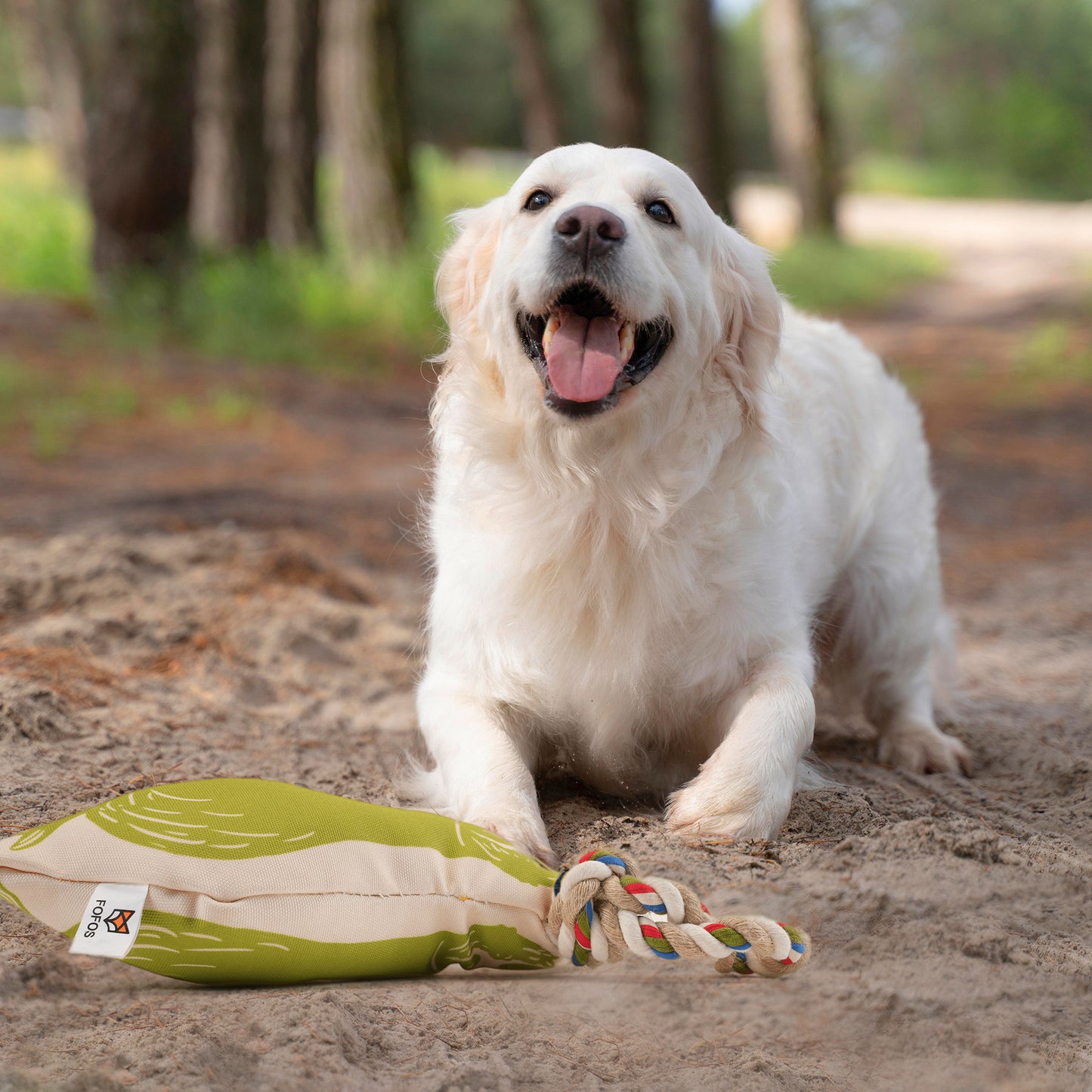 FOFOS Sloth Squeaky With Flossy Rope Toy For Dog - Green