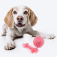 FOFOS Bone & Ball Squeaky Chew Toy For Puppy- Pink - Heads Up For Tails