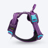 Truelove No Pull Cordura Harness For Dog - Purple - Heads Up For Tails