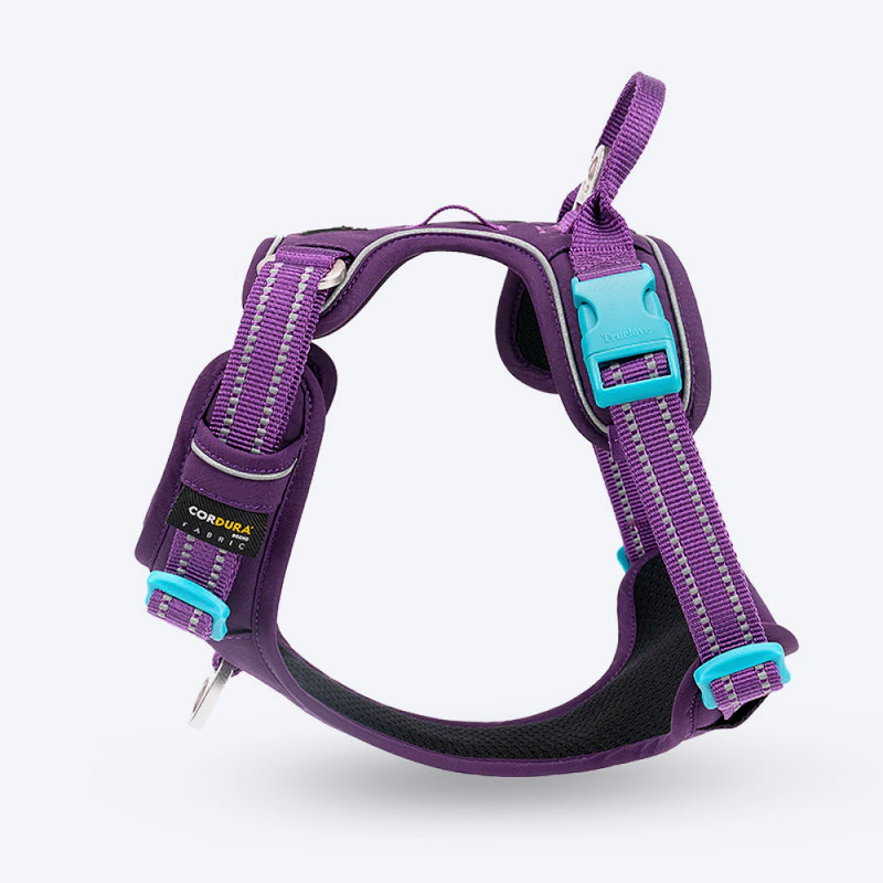 Truelove No Pull Cordura Harness For Dog - Purple - Heads Up For Tails