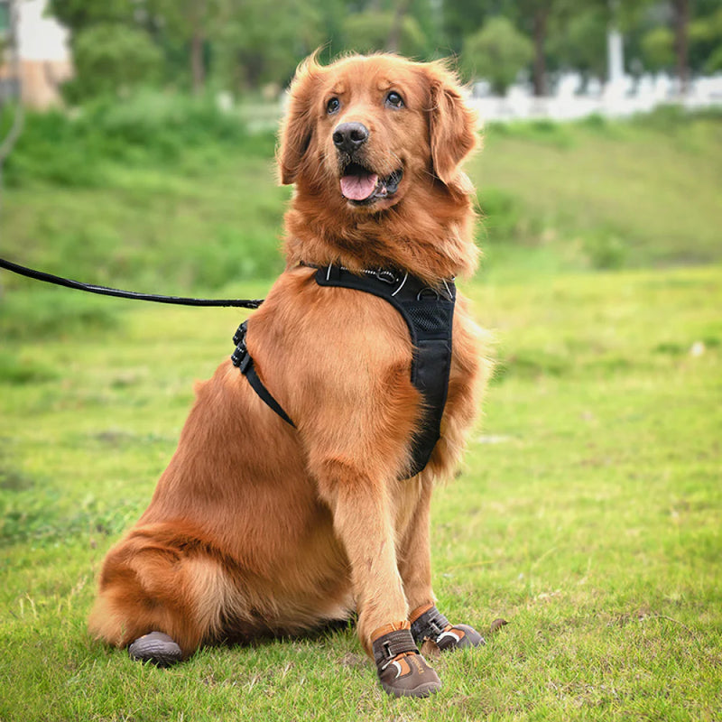 Truelove Waterproof With Reflective Straps Shoes For Dog - Pinecone & Glazed Ginger (Set of 4) - Heads Up For Tails