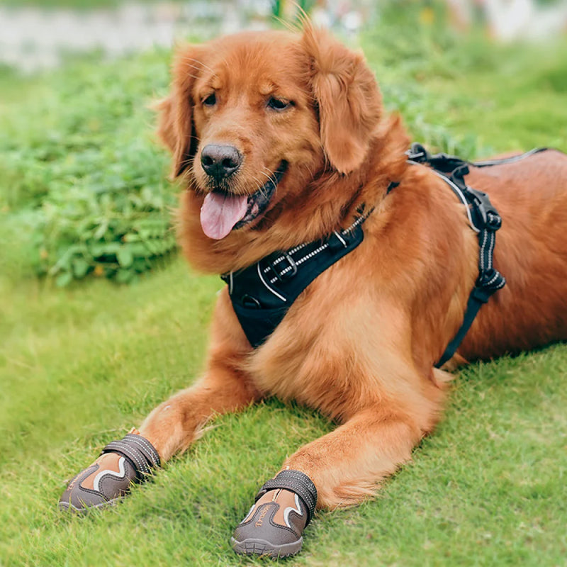 Truelove Waterproof With Reflective Straps Shoes For Dog - Pinecone & Glazed Ginger (Set of 4) - Heads Up For Tails