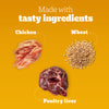 Pedigree Tasty Jerky Chicken Flavour Treat For Adult Dog - 70 g - Heads Up For Tails