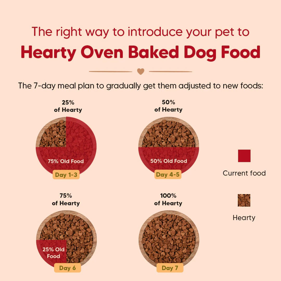 HUFT Hearty Oven-Baked Chicken & Duck With Brown Rice Adult Dog Dry Food - All Breed - 250 gm (Best Before May'26) - Heads Up For Tails