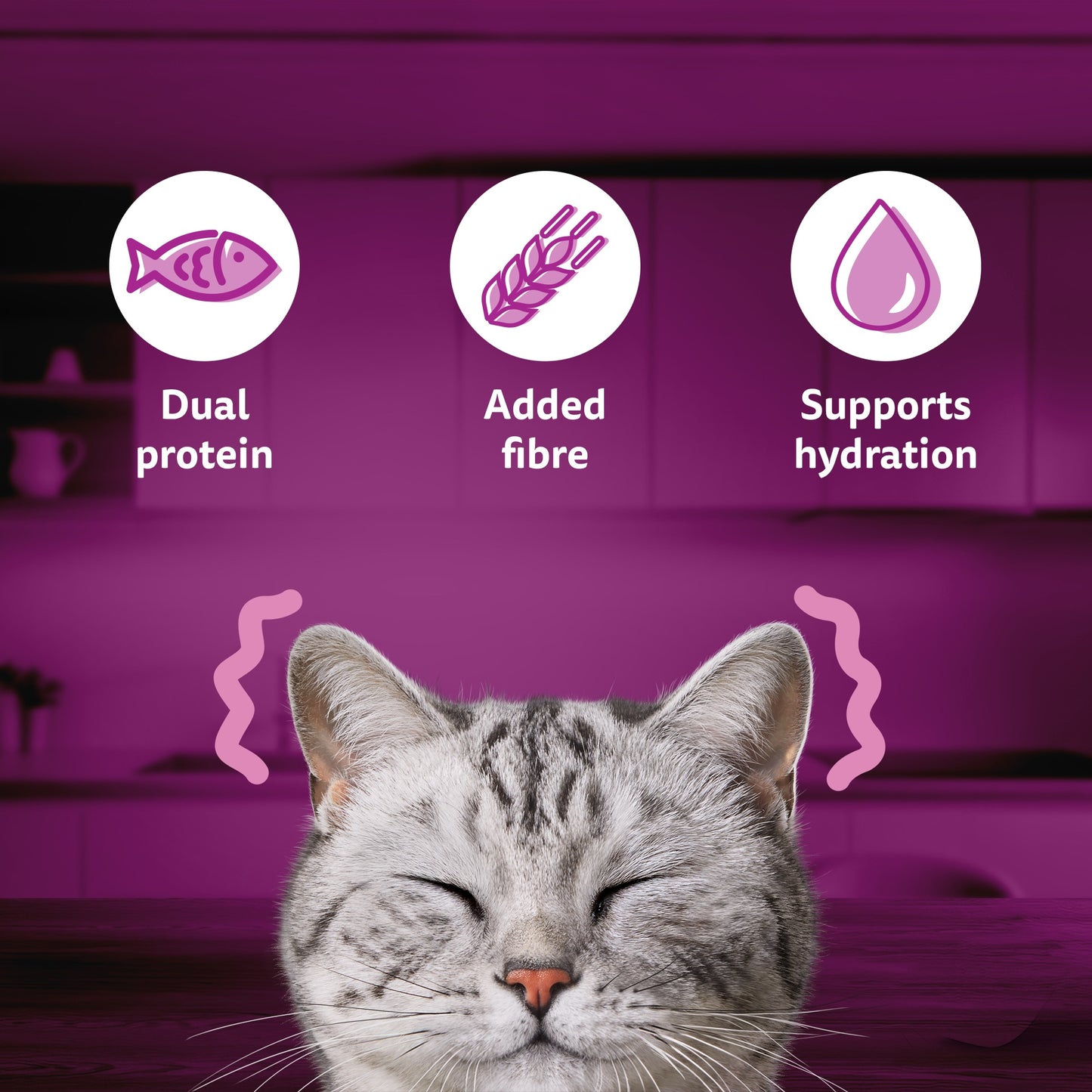 Whiskas Tasty Mix Wet Food Made With Real Fish (Salmon & Wakame Seaweed) With Chicken in Gravy For Adult (1+ year) Cat - 70 gm Pack