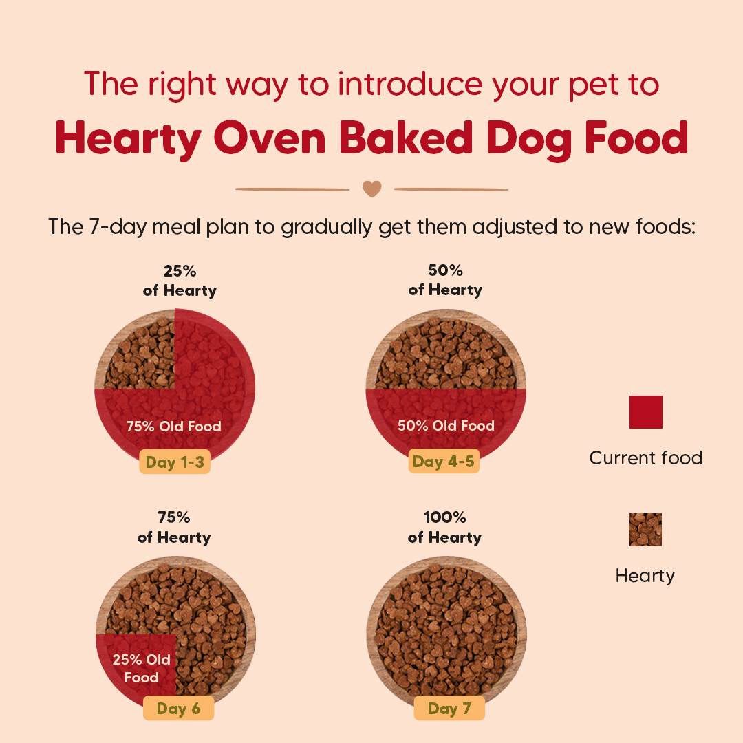 Hearty Oven-Baked Dry Food For Puppies With Chicken, Fish & Indian Herbs - All Breed