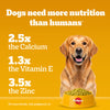 Pedigree 100% Vegetarian Dry Food For Adult Dog