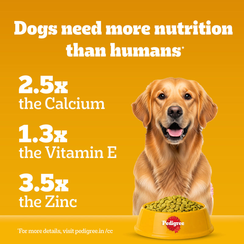 Pedigree 100% Vegetarian Dry Food For Adult Dog