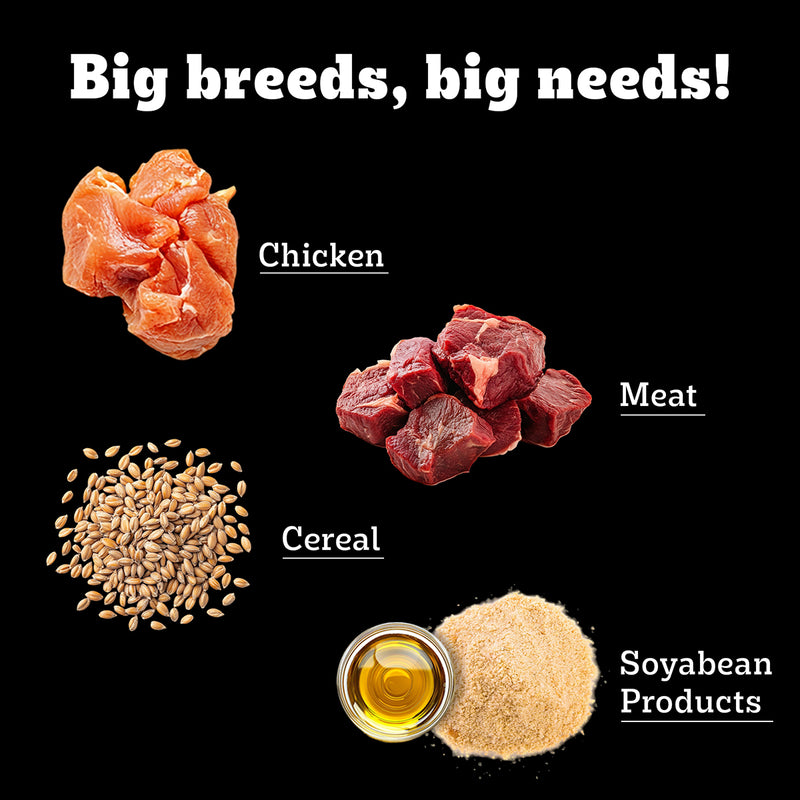 Pedigree PRO Expert Nutrition Dry Dog Food For Large Breed Puppy (3-18 Months) - Heads Up For Tails