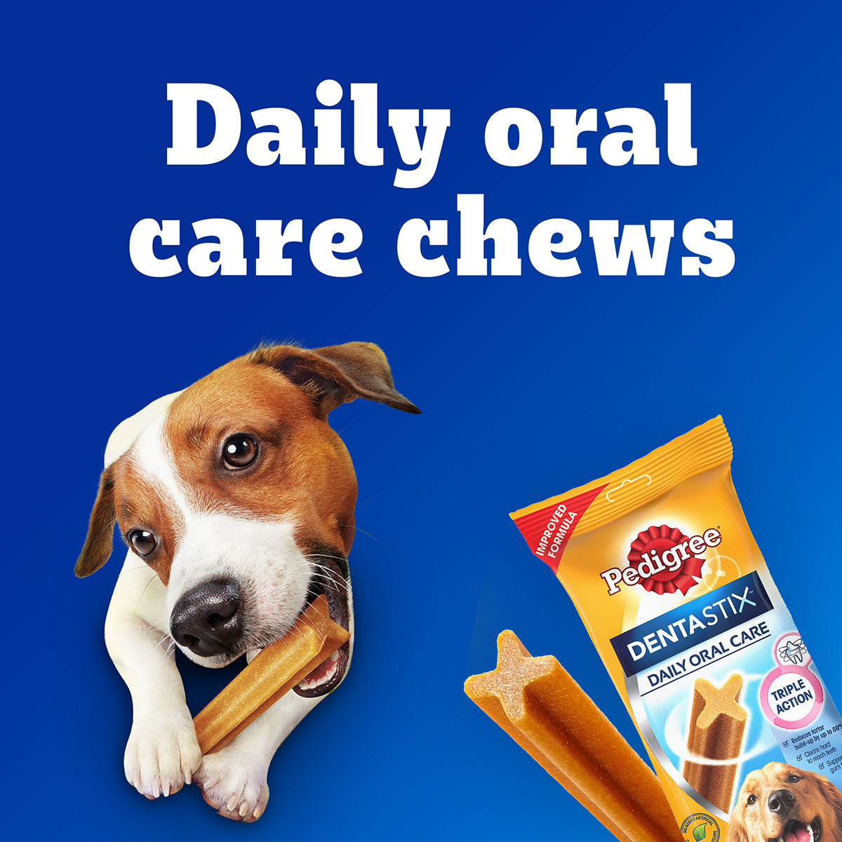 Pedigree Dentastix Dog Treat Weekly Pack For Large Breed - 270 g - Heads Up For Tails