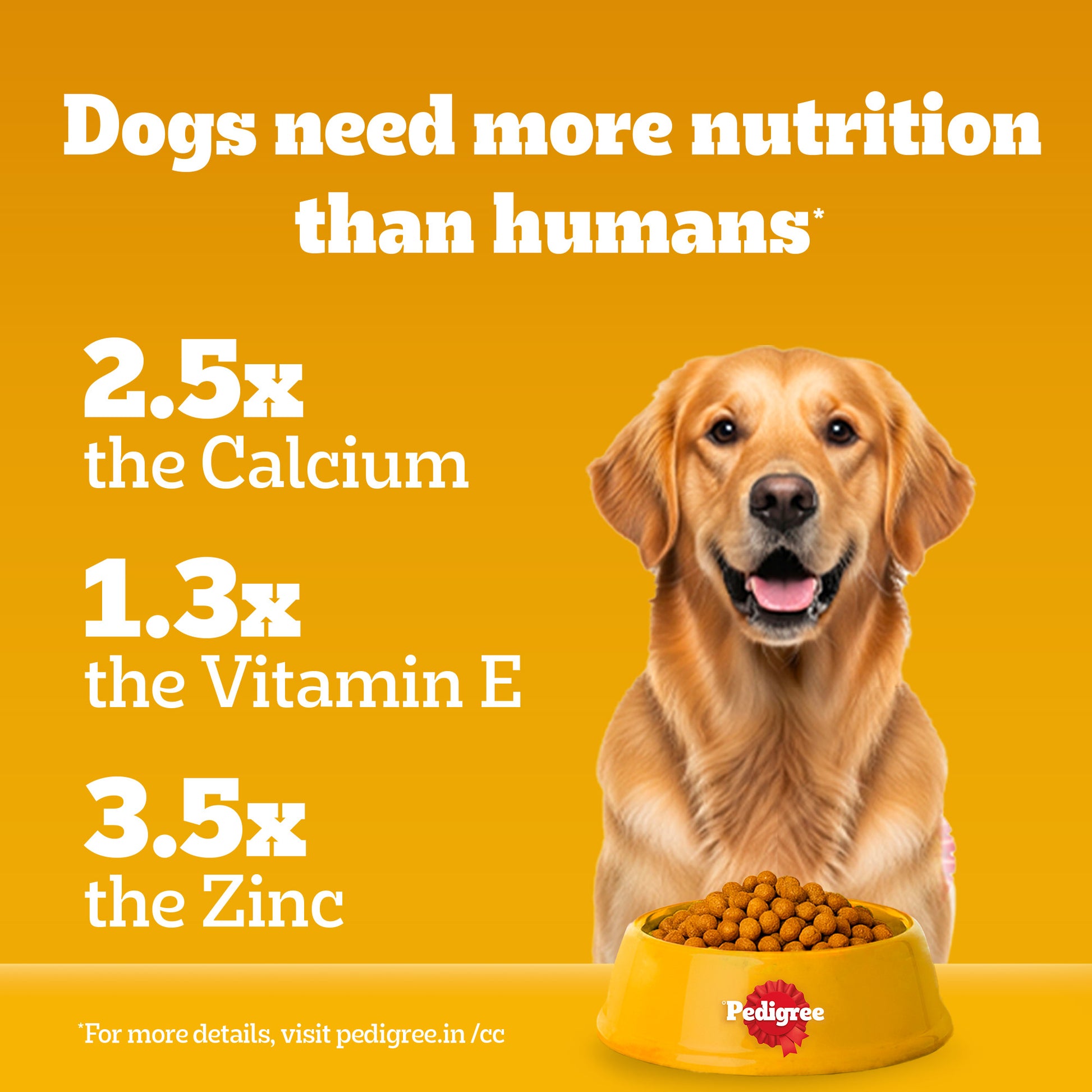 Pedigree Meat & Rice Adult Dry Dog Food - Heads Up For Tails