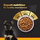 Pedigree PRO Expert Nutrition Dry Dog Food For Large Breed Puppy (3-18 Months)