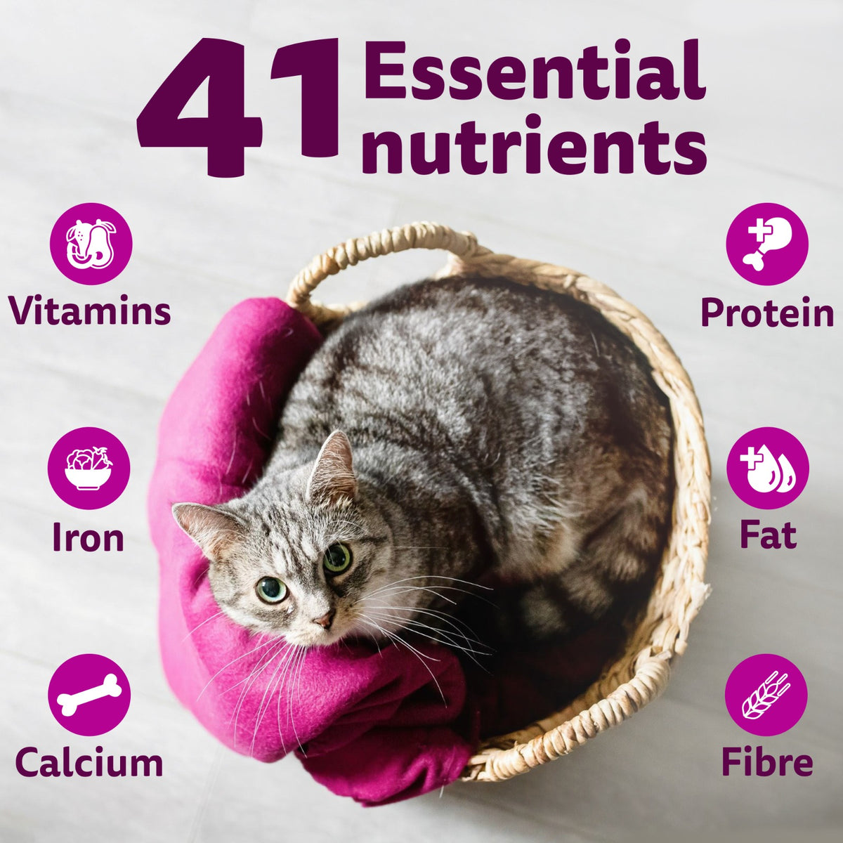 Whiskas Adult (1+ Years) Mackerel Flavour Dry Cat Food - Heads Up For Tails
