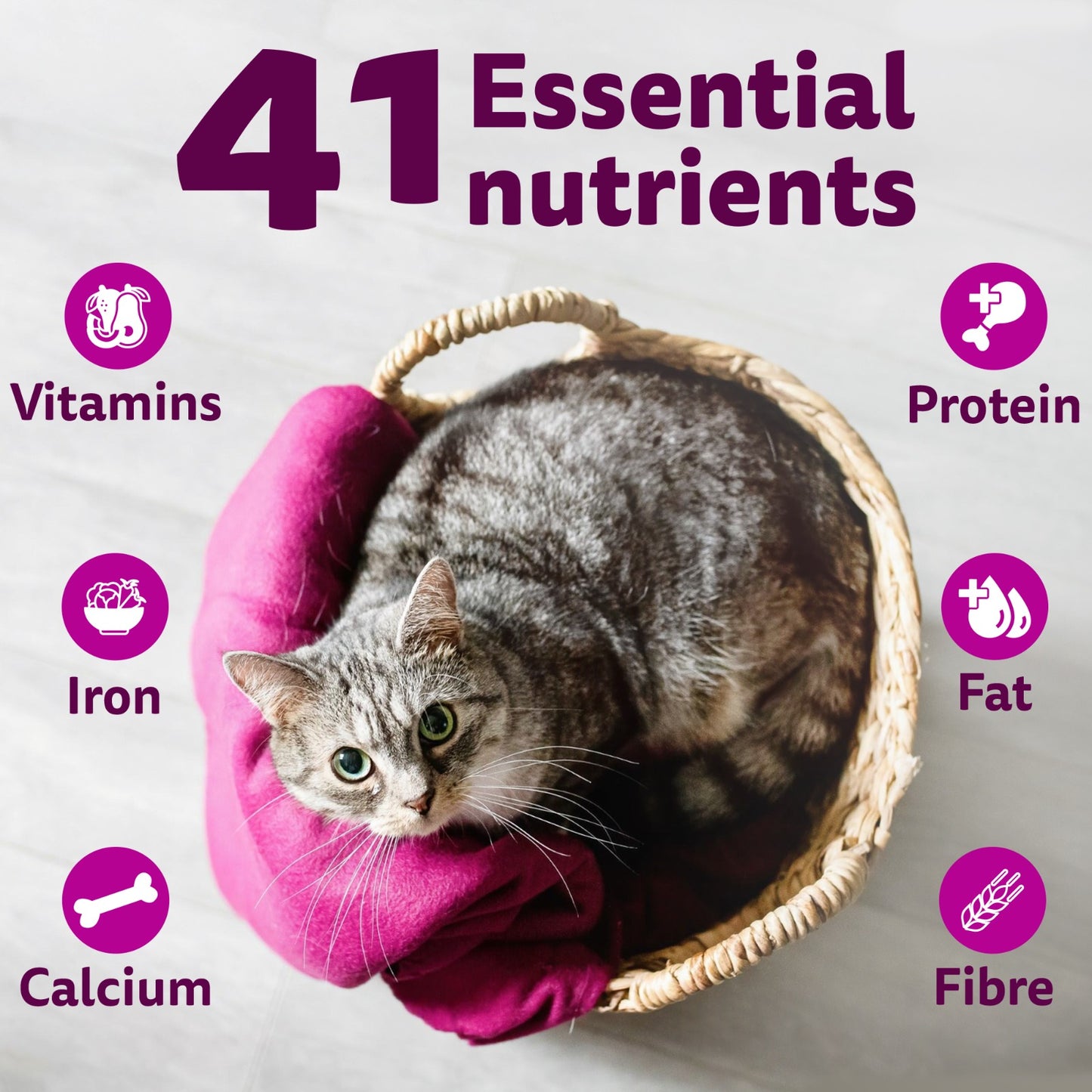 Whiskas Adult (1+ Years) Mackerel Flavour Dry Cat Food - Heads Up For Tails