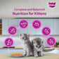 Whiskas Tasty Mix Chicken Tuna With Sweet Potato In Gravy Wet Food For Junior (2-12 Months) Kitten - 70 gm Pack