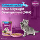 Whiskas Tuna in Jelly (2-12 Months) Wet Food For Kitten - 80 gm Pack