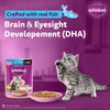 Whiskas Tuna in Jelly (2-12 Months) Wet Food For Kitten - 80 gm Pack - Heads Up For Tails