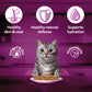 Whiskas Salmon in Gravy (1+ Years) Wet Food For Adult Cat - 80 gm Pack - Heads Up For Tails