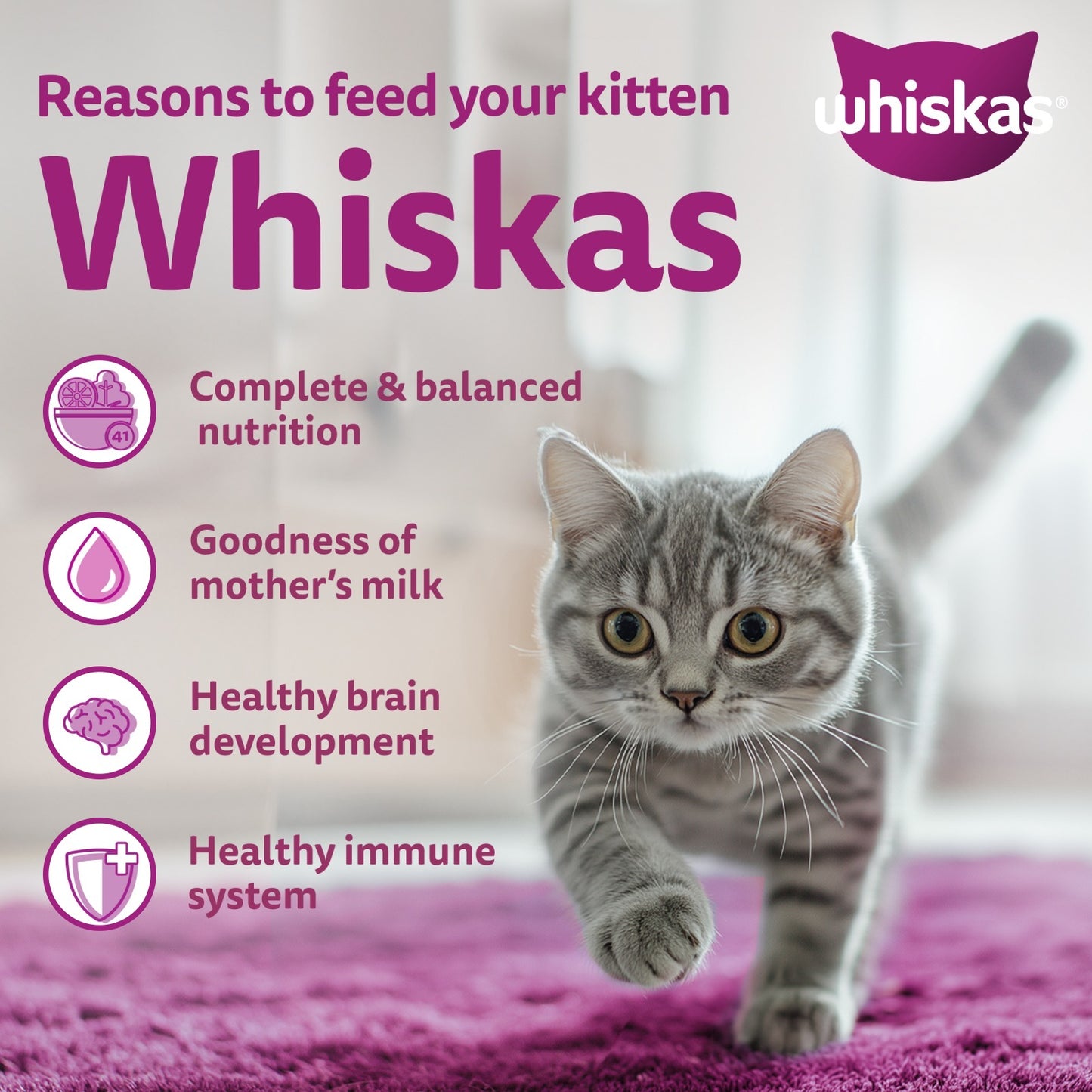 Whiskas Mackerel Flavour Dry Food For (2-12 Months) Kitten - Heads Up For Tails