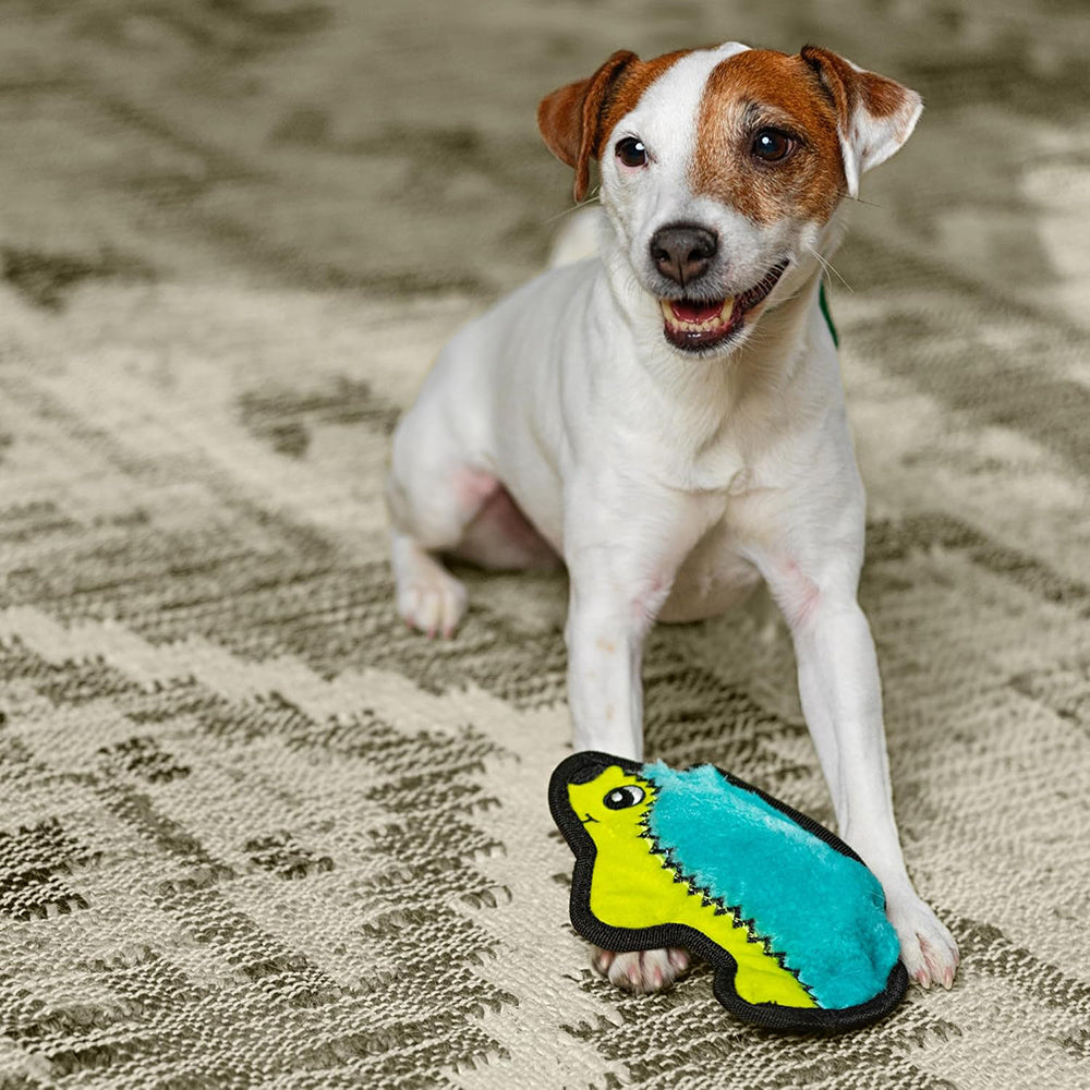 Outward Hound Durablez Hedgehog Plus Toy For Dog - Turquoise - XS - Heads Up For Tails