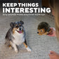 Outward Hound Hedgehogz Plush Toy For Dog - Brown