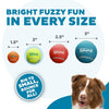 Outward Hound (Nina Ottosson) Squeaker Ballz Fetch Dog Toy - Heads Up For Tails