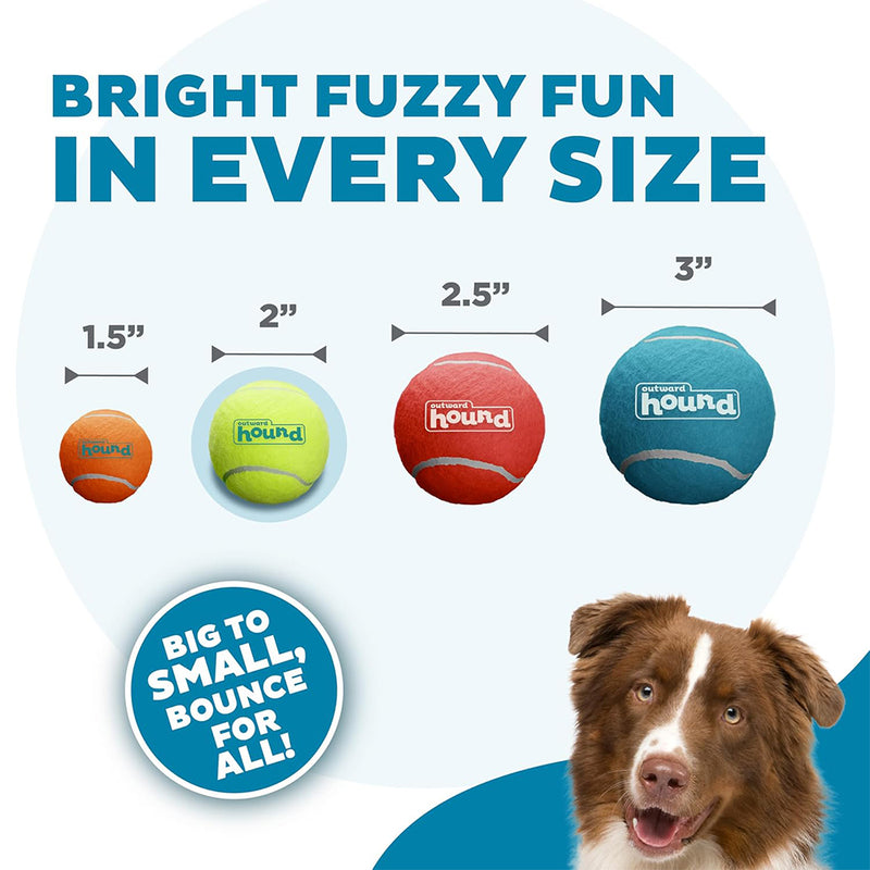 Outward Hound (Nina Ottosson) Squeaker Ballz Fetch Dog Toy - Heads Up For Tails