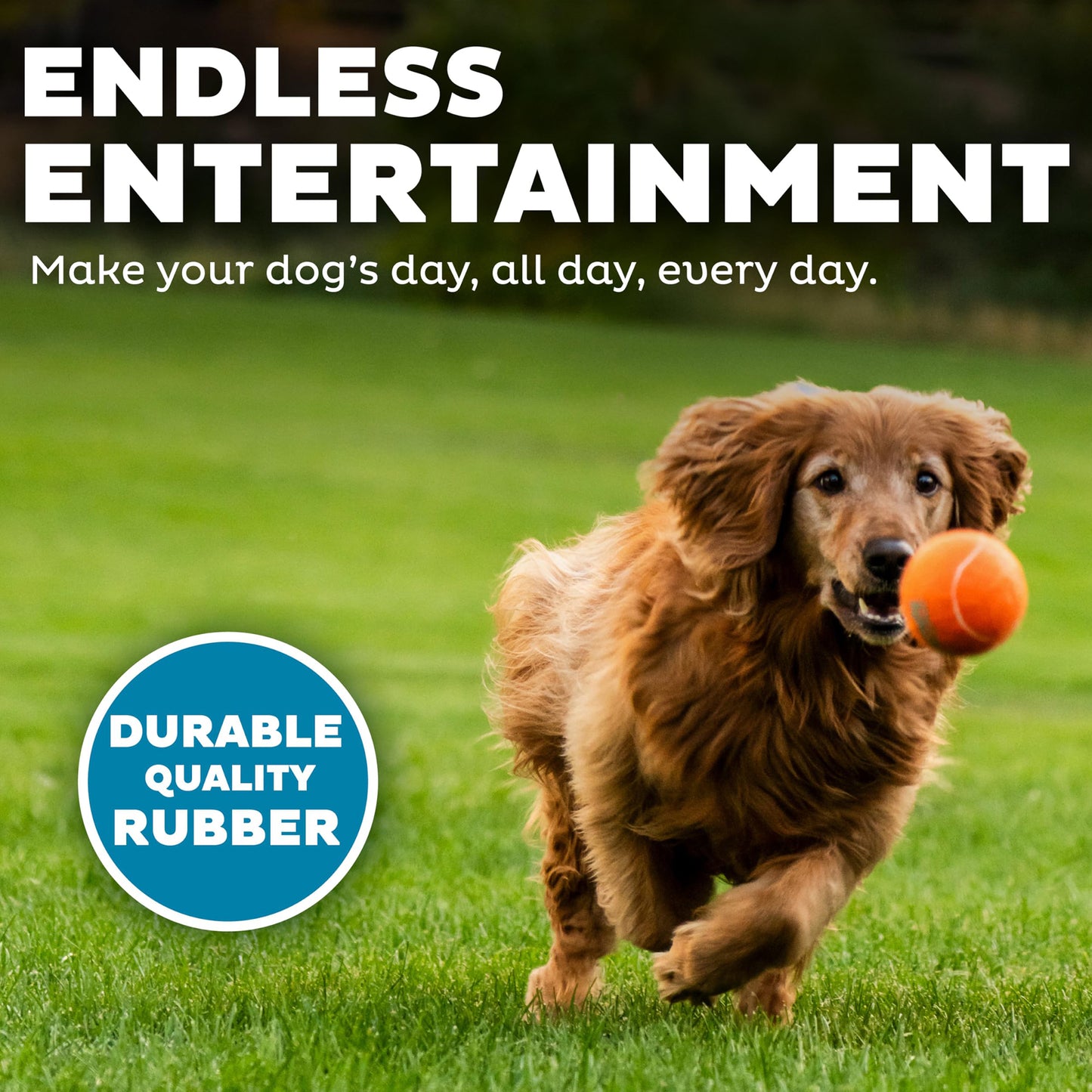 Outward Hound (Nina Ottosson) Squeaker Ballz Fetch Toy For Dog - 4 Pcs - Heads Up For Tails