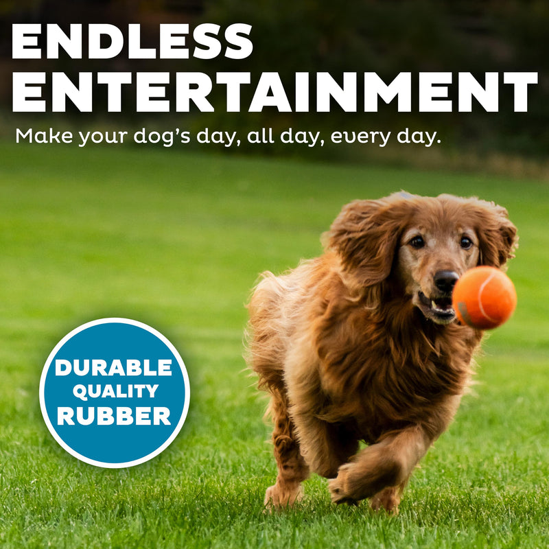Outward Hound (Nina Ottosson) Squeaker Ballz Fetch Toy For Dog - 4 Pcs - Heads Up For Tails