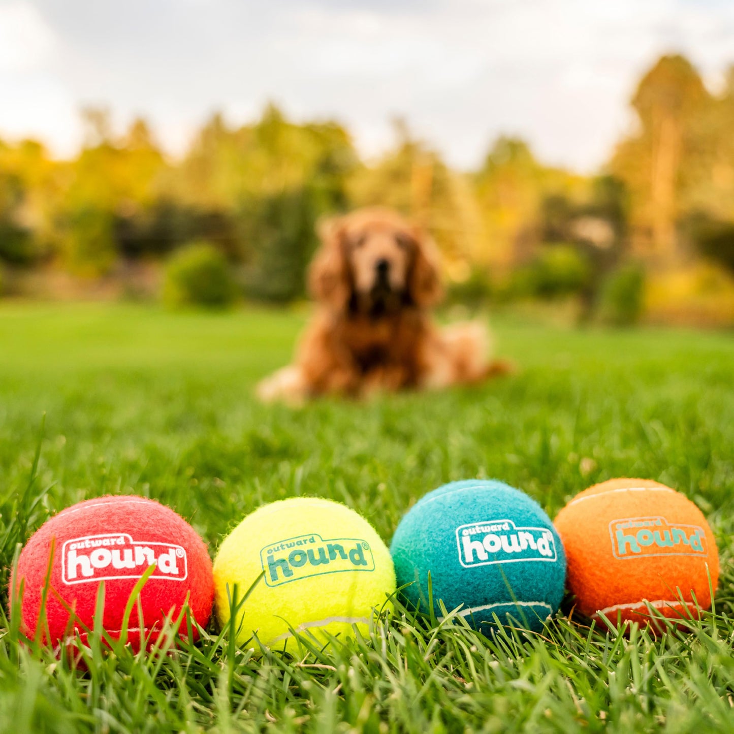 Outward Hound (Nina Ottosson) Squeaker Ballz Fetch Toy For Dog - 4 Pcs - Heads Up For Tails