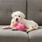 Outward Hound Flamingo Xtreme Seamz Plush Toy For Dog - Pink - M