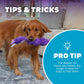 Outward Hound Twistiez Unicorn Plush With Interactive Toy For Dog - Purple - L - Heads Up For Tails