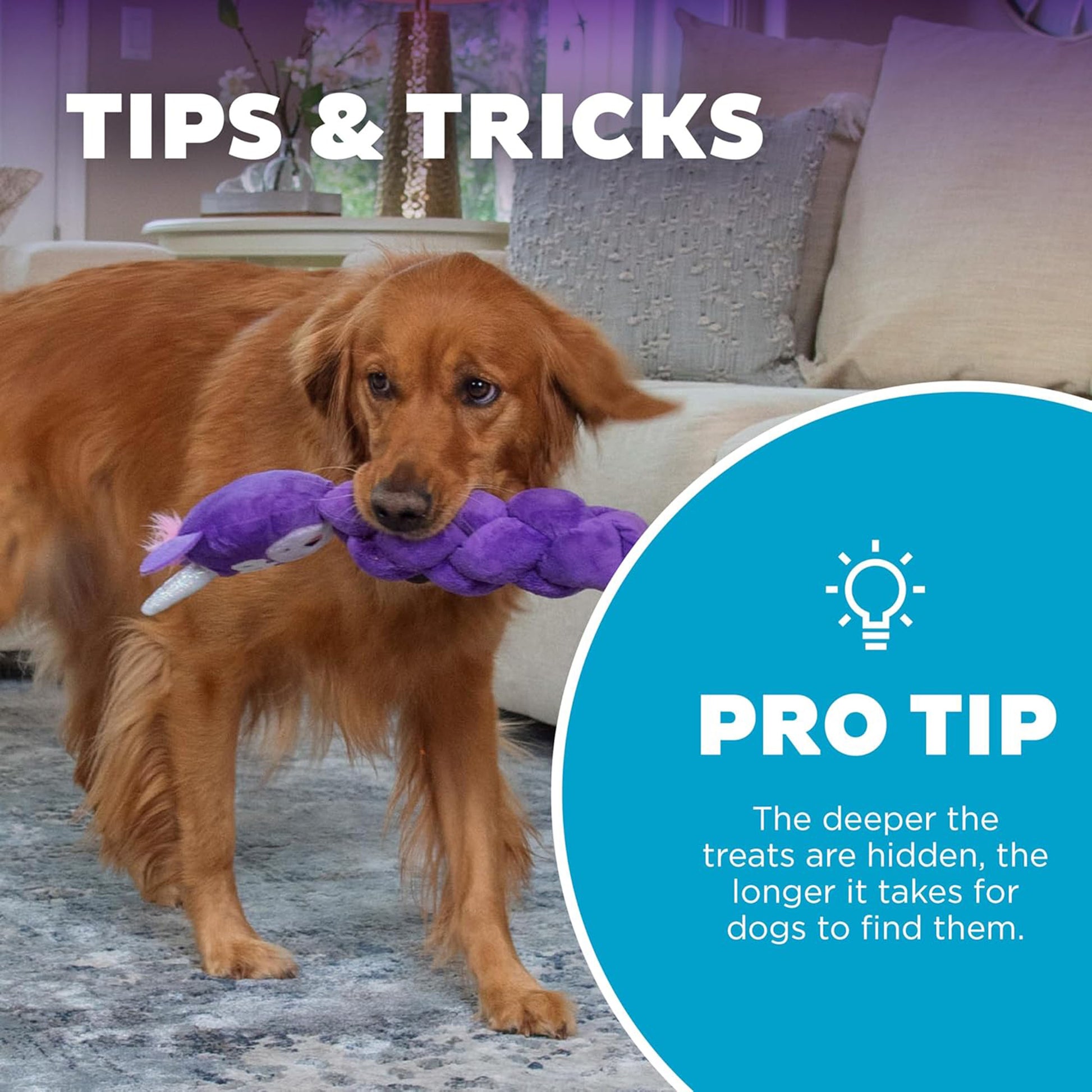 Outward Hound Twistiez Unicorn Plush With Interactive Toy For Dog - Purple - L - Heads Up For Tails
