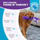 Outward Hound Twistiez Unicorn Plush With Interactive Toy For Dog - Purple - L - Heads Up For Tails