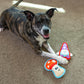 Outward Hound Mallard Fire Biterz Chew Toy For Dog - Green