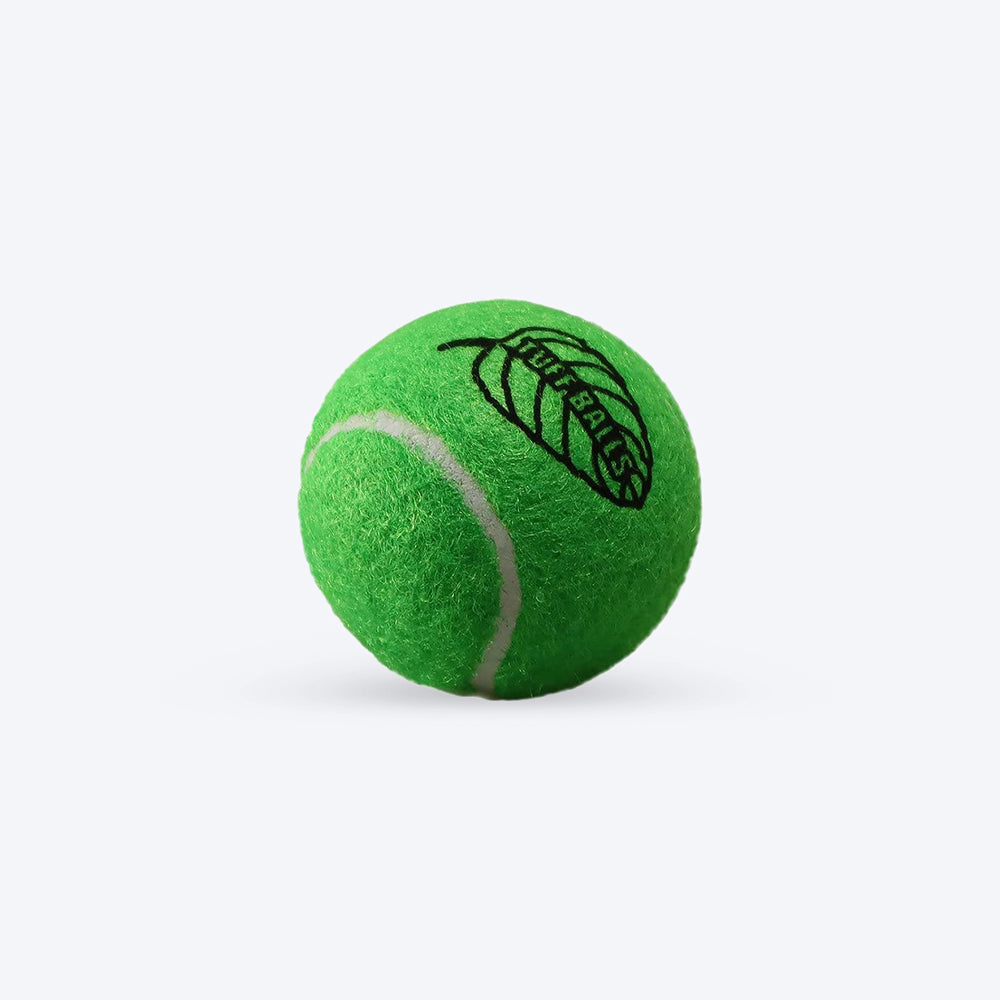 Petsport Tuff Balls Dog Toy - Mint - Pack Of 2