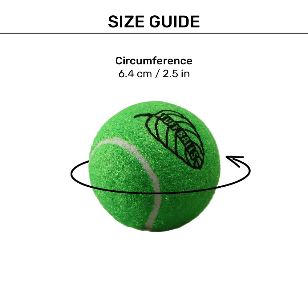 Petsport Tuff Balls Dog Toy - Mint - Pack Of 2_04