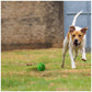 Petsport Tuff Balls Junior - Mint - Pack Of 2_04