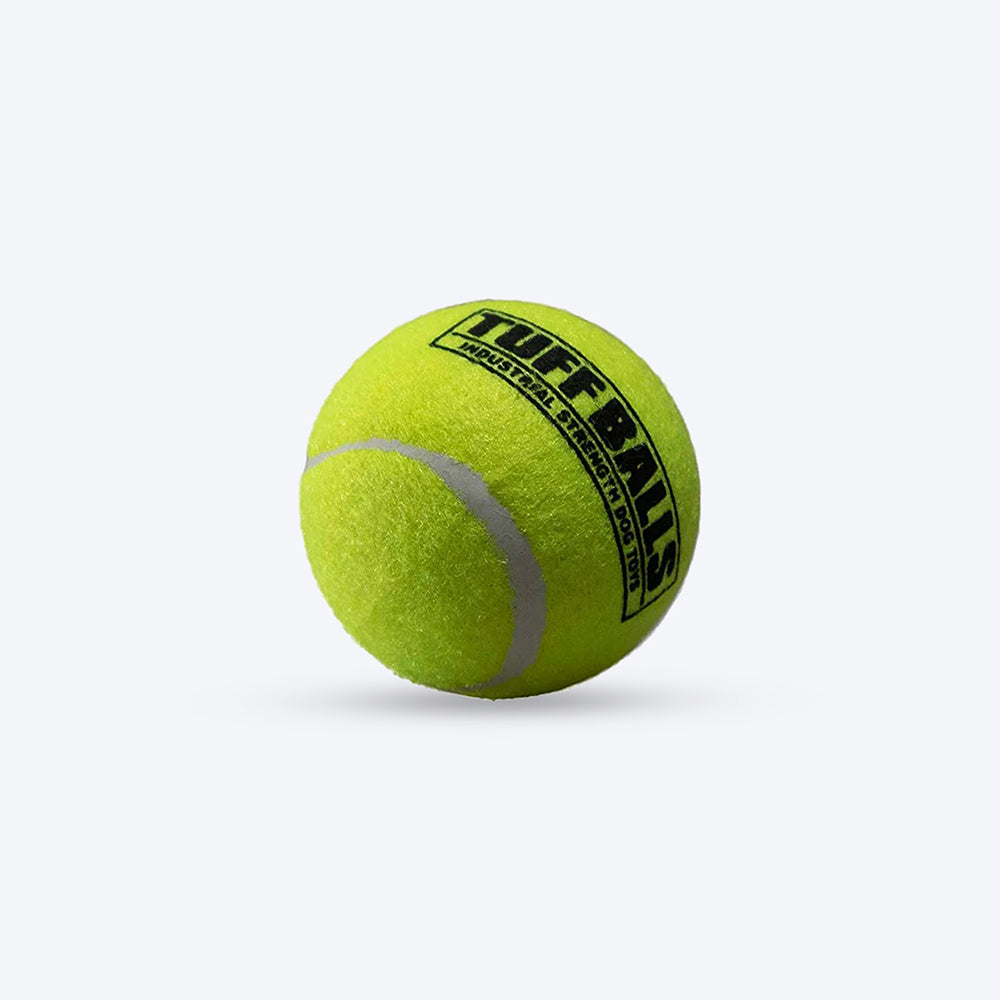 Petsport Tuff Balls -6.3 cm - Pack Of 2_04