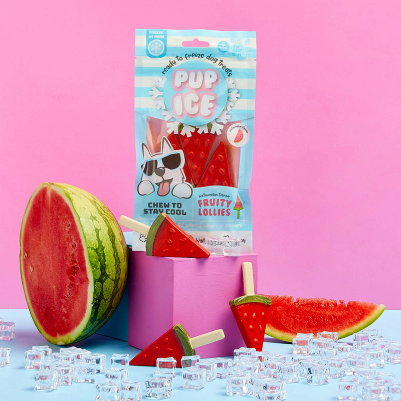 Pup Ice Fruity Lollies Watermelon Ready to Freeze Treat For Adult Dog - 90 gm - Heads Up For Tails