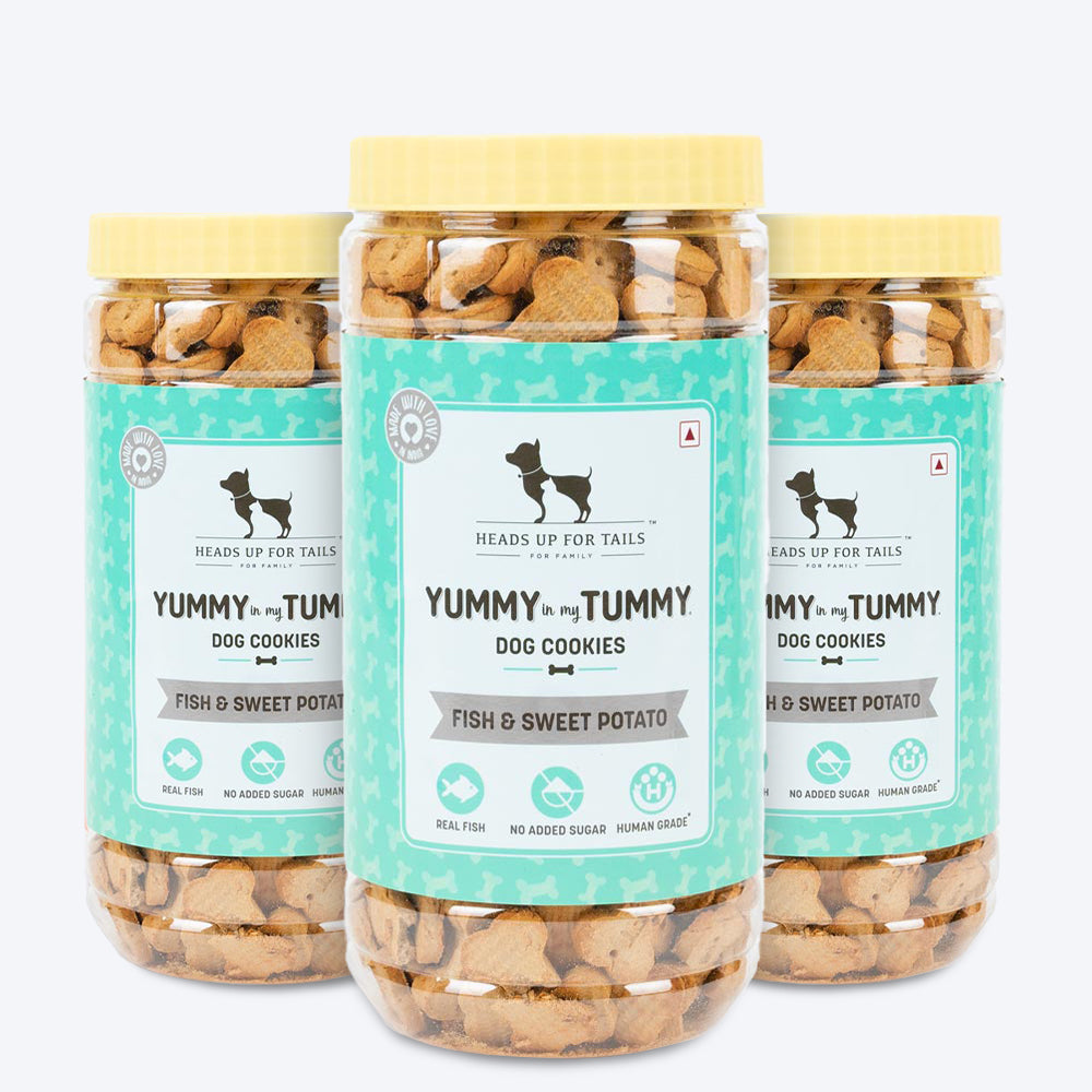 HUFT YIMT Fish & Sweet Potato Dog Biscuits