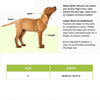Ruffwear Flagline Harness For Dog - Salmon Pink - S - Heads Up For Tails